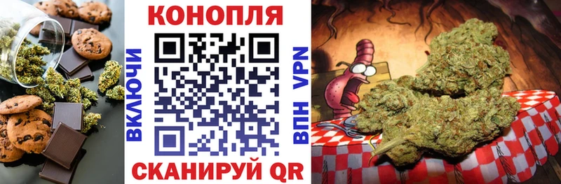 дарнет шоп  Пудож  Canna-Cookies конопля 
