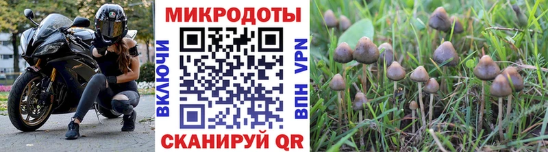 гидра зеркало  Пудож  Галлюциногенные грибы Magic Shrooms 